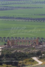 Image du Maroc Professionnelle de  Le site de Volubilis est l'un des sites les mieux préservés au Maroc et le plus visité. Il se situe à proximité de Moulay Idriss Zerhoun à une trentaine de km au nord-ouest de Meknès, photo prise le jeudi 8 Mars 2012. Volubilis ville antique berbère Walili (Lauriers rose) qui date du 3e siècle avant J.-C. capitale du royaume de Maurétanie fondé comme seconde capital sous le règne de Juba II. (Photo / Abdeljalil Bounhar)
